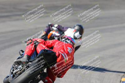 media/Feb-04-2024-SoCal Trackdays (Sun) [[91d6515b1d]]/4-Bowl Backside (11am)/